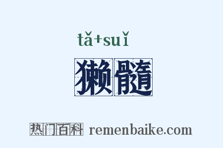 獭髓是什么意思的图片